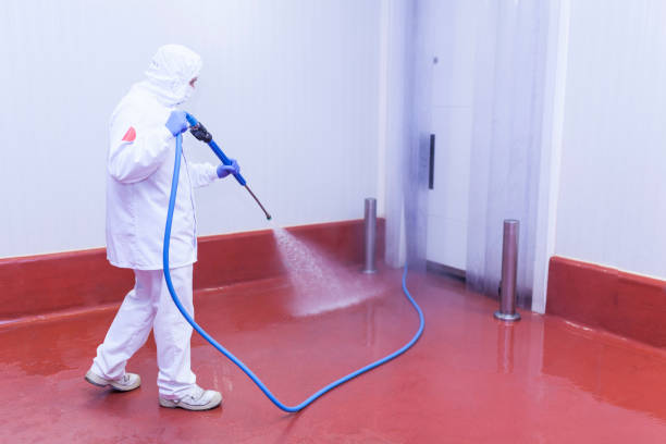 Playground Equipment Cleaning in Sheridan, CA